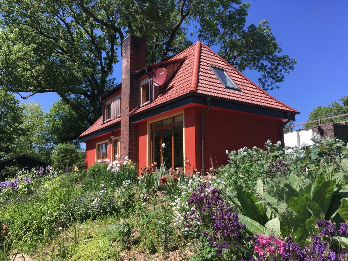 Kleine Villa Im Wilden Garten Gummersbach Eksteriør bilde