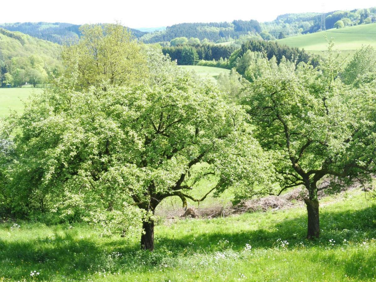 Kleine Villa Im Wilden Garten Gummersbach Eksteriør bilde