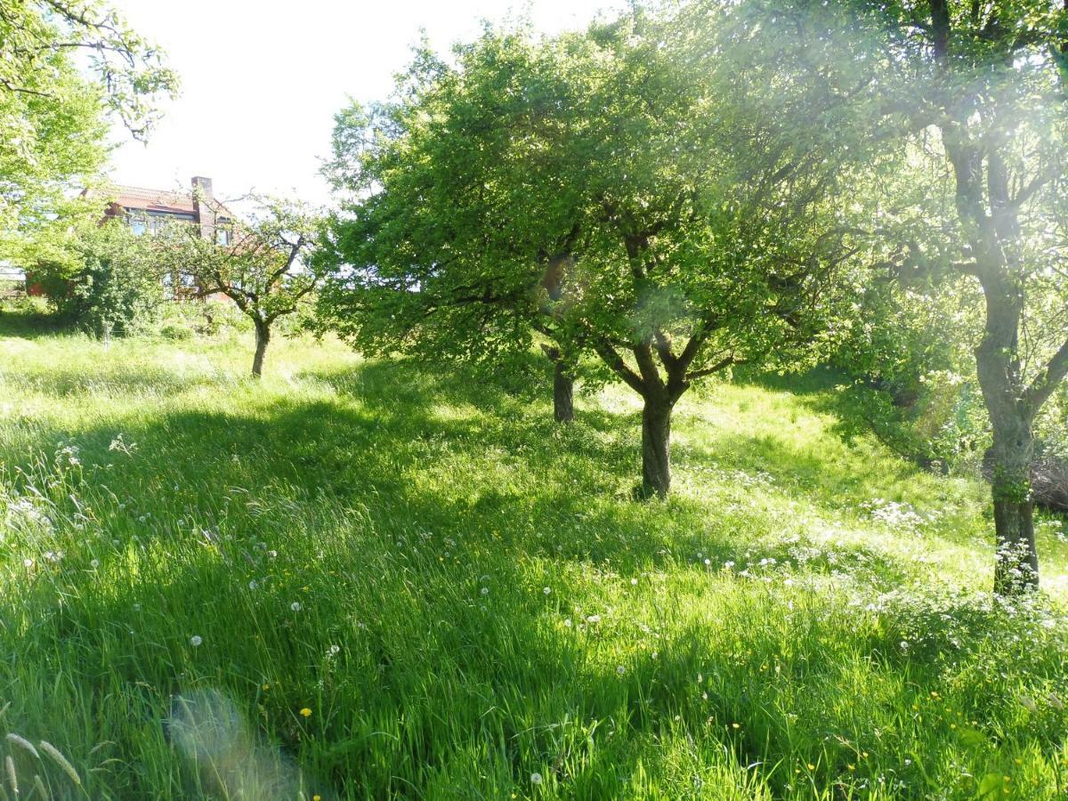 Kleine Villa Im Wilden Garten Gummersbach Eksteriør bilde