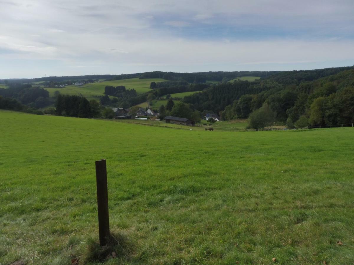 Kleine Villa Im Wilden Garten Gummersbach Eksteriør bilde