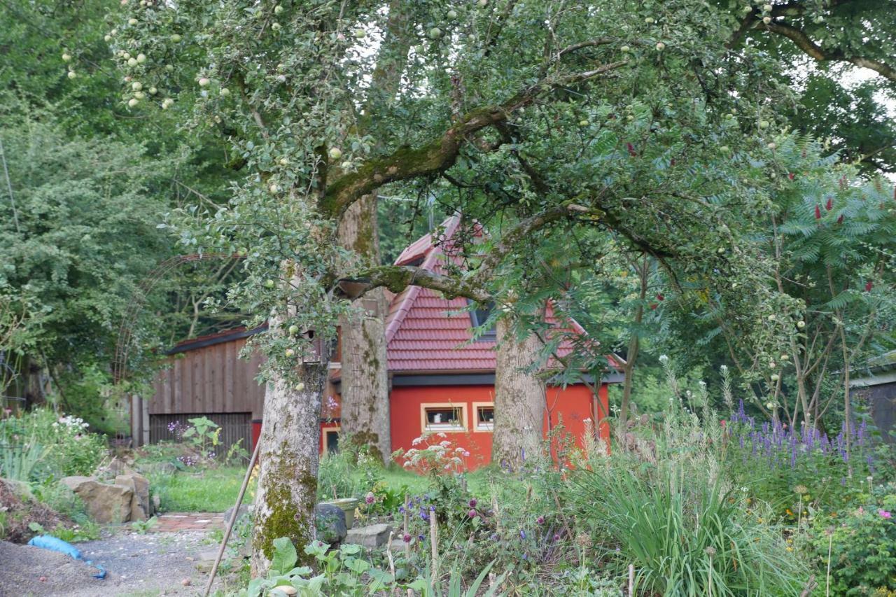 Kleine Villa Im Wilden Garten Gummersbach Eksteriør bilde